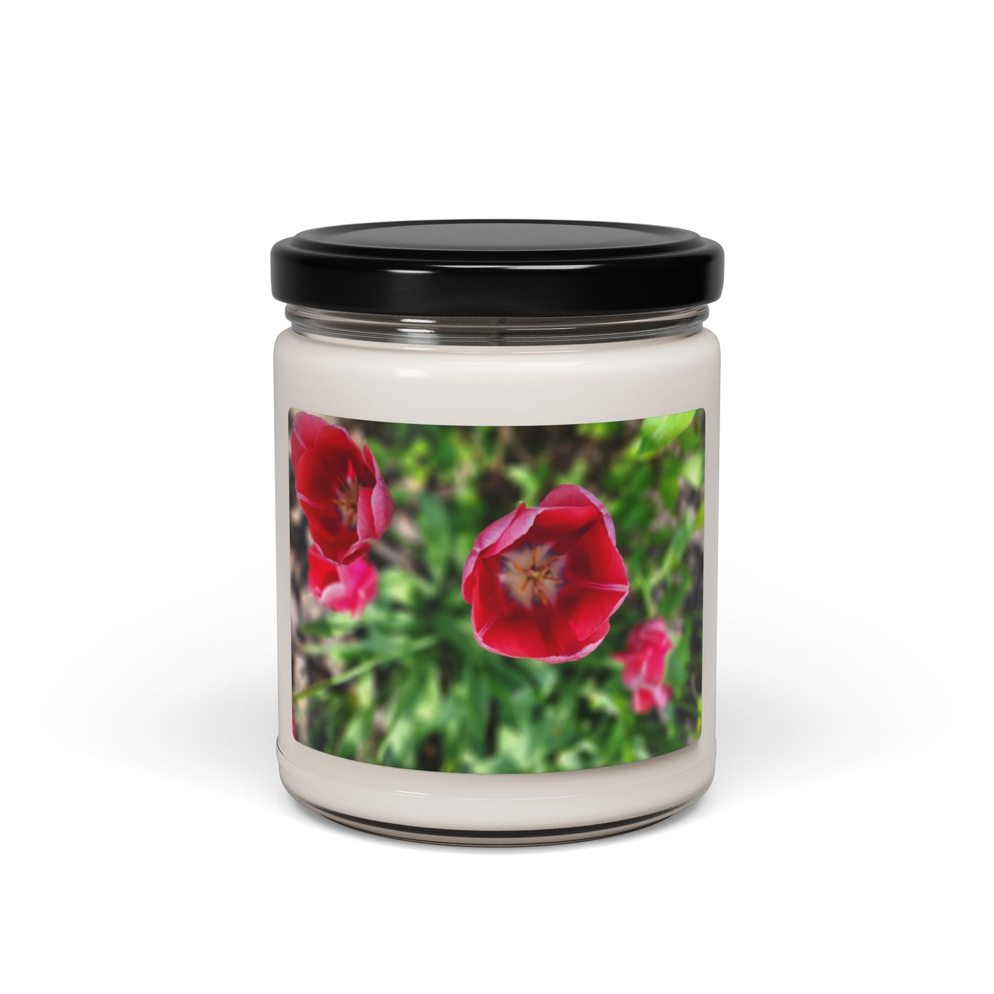 Scented Soy Candle, 9oz